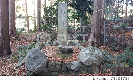 蜘蛛窟 蜘蛛窟 73231752