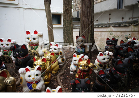 淡嶋神社 淡嶋神社 73231757