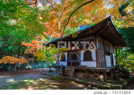 京都 金蔵寺(こんぞうじ)の紅葉 京都 金蔵寺(こんぞうじ)の紅葉 73231804