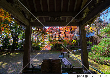 京都 金蔵寺(こんぞうじ)の紅葉 京都 金蔵寺(こんぞうじ)の紅葉 73231806