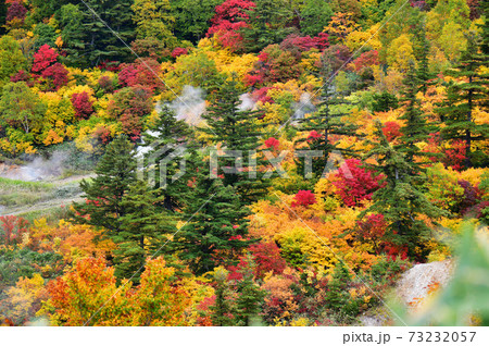 湯けむりと紅葉 湯けむりと紅葉 73232057
