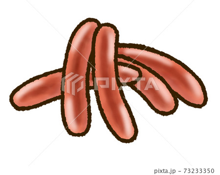 ソーセージのイラスト素材 ソーセージのイラスト素材