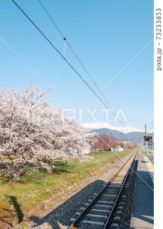 田舎の無人駅(春) 田舎の無人駅(春) 73233853