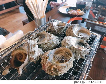 夏のサザエの浜焼き 夏のサザエの浜焼き 73233916