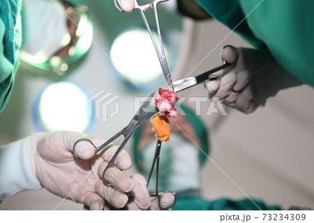 surgery performing operations with surgery equipment in modern hospital operation emergency room, view of over patient with tools 73234309