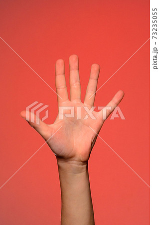 The human hand shows five fingers, which symbolizes affection. Isolated on a red background The human hand shows five fingers, which symbolizes affection. Isolated on a red background 73235055