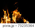 Fire flames on a black background. Abstract fiery texture. Realistic fire flames burn movement frame. Texture for Design. The texture of fire. Fire flames background. Blazing campfire. Sensitive 73235364