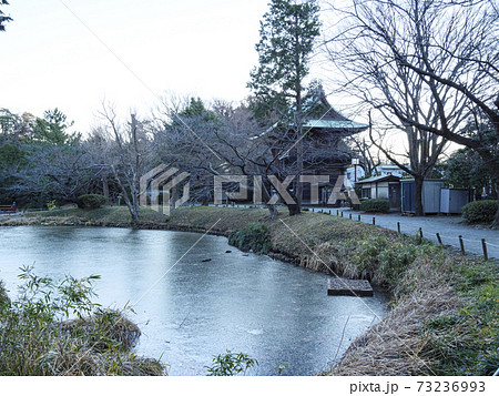 鎌倉幕府ゆかりの北条氏金沢文庫の隣神奈川県横浜市金沢区称名寺の冬 73236993