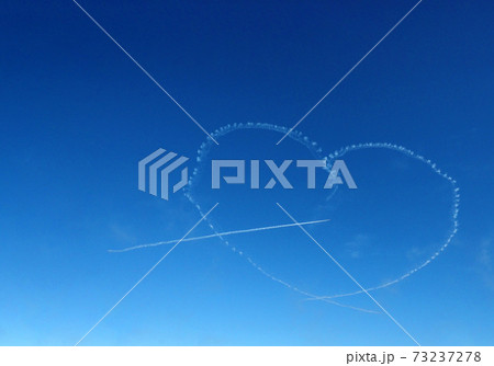 「埼玉県」航空自衛隊　ブルーインパルス 73237278