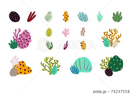 Set of colorful underwater design elements. Vector illustration Set of colorful underwater design elements. Vector illustration 73237558