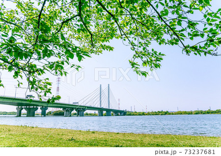 彩湖・道満グリーンパークの新緑 73237681
