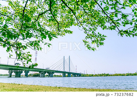 彩湖と新緑（幸魂大橋） 73237682