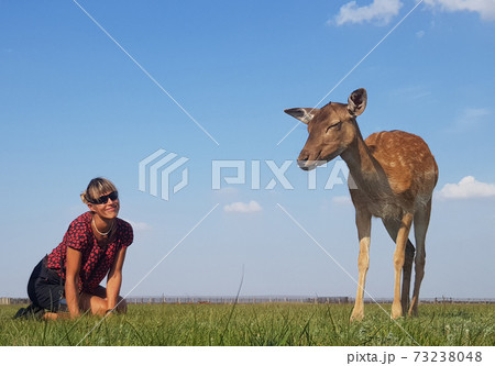 Girl looks at deer with delight Girl looks at deer with delight 73238048