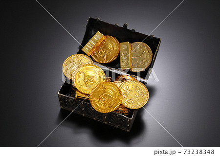金貨イメージ 73238348