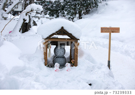 長野県　地獄谷野猿公苑　温泉猿 73239333