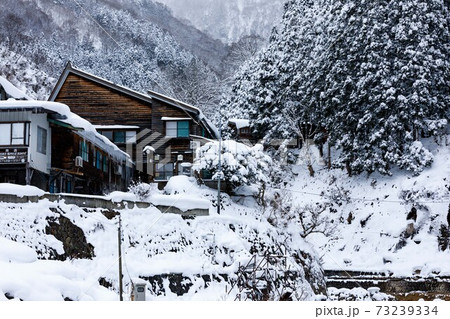 長野県　地獄谷野猿公苑　雪景色 73239334