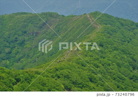 松倉山から平標山の稜線 松倉山から平標山の稜線 73240796