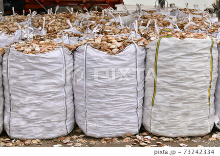 Bags with empty scallop shell for processing Zero waste 73242334