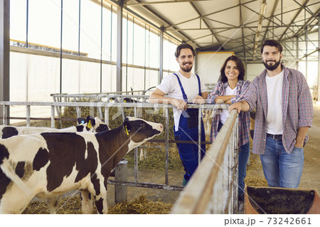 Group of happy farm workers standing near cage with calves in barn on livestock farm Group of happy farm workers standing near cage with calves in barn on livestock farm 73242661
