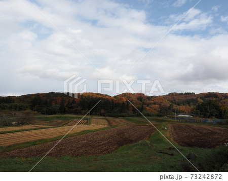 広い農地の向こうに見える紅葉した山 広い農地の向こうに見える紅葉した山 73242872