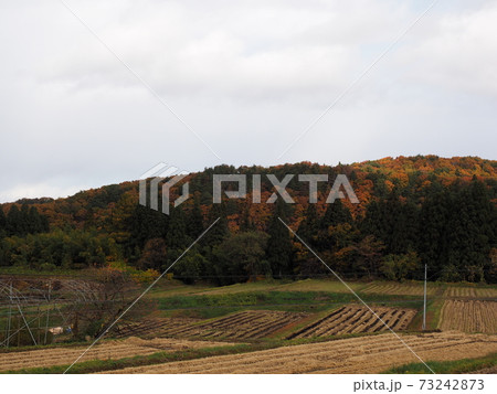 広い農地の向こうに見える紅葉した山 広い農地の向こうに見える紅葉した山 73242873