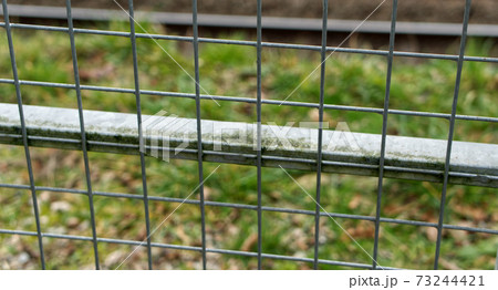 Rural security padlocks, barbed wire fencing 73244421