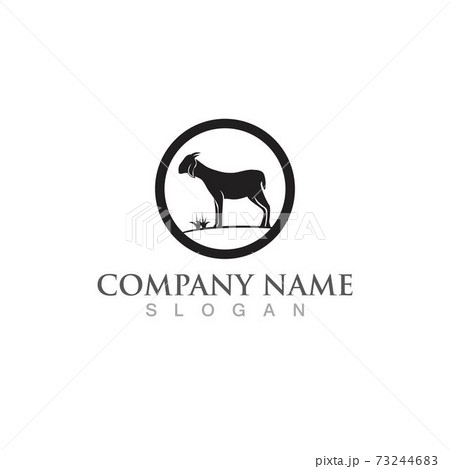 Goat Logo Template vector icon Goat Logo Template vector icon 73244683