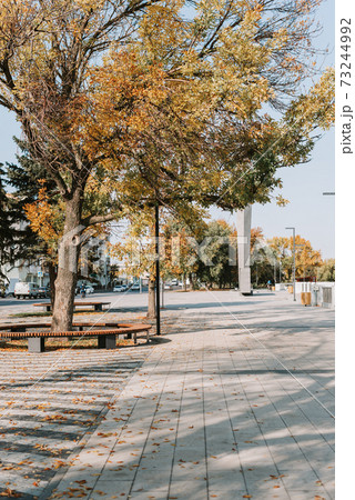City autumn park in good sunny weather 73244992