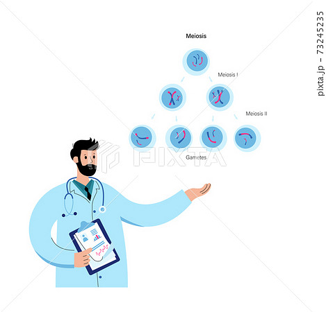 Mitosis process concept 73245235