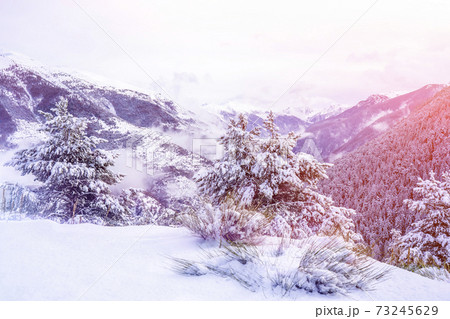 Beautiful winter landscape in the french Alps. Magical mountain purple sunset on ski resort . Christmas time. 73245629
