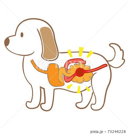 犬 腸閉塞 ペット 病気 イラスト素材のイラスト素材