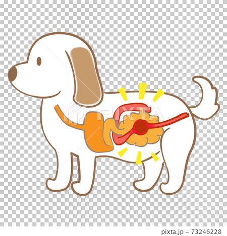 Dog intestinal obstruction pet illness illustration material 73246228