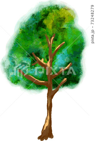 質感のある木 質感のある木 73248279