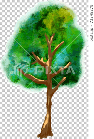 質感のある木 質感のある木 73248279