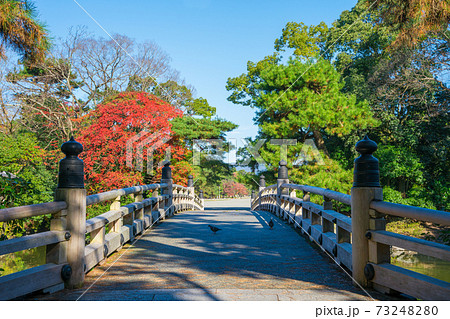 京都御苑の九条池に架かる高倉橋と紅葉 73248280