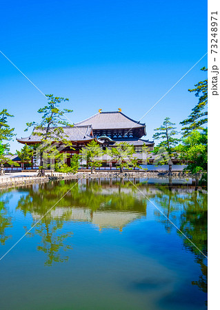 鏡池と東大寺大仏殿 73248971