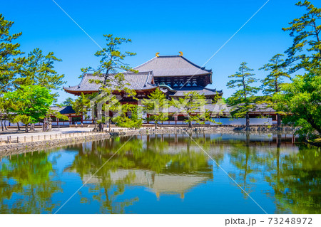 鏡池と東大寺大仏殿 73248972
