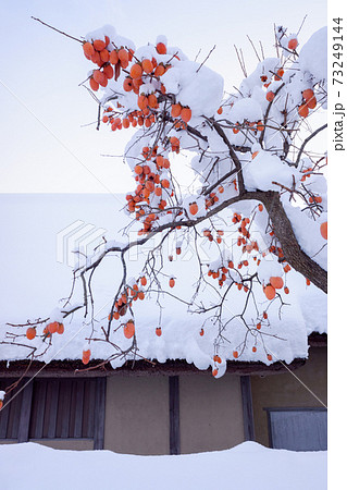 江戸時代中期の武家屋敷（雪景色） 73249144