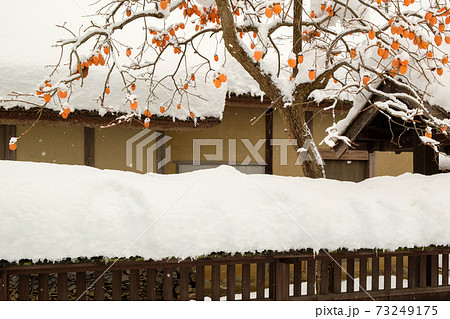 江戸時代中期の武家屋敷(雪景色) 江戸時代中期の武家屋敷(雪景色) 73249175