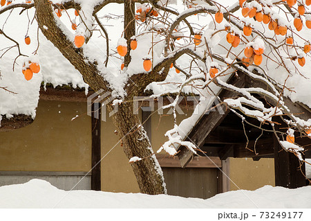 江戸時代中期の武家屋敷（雪景色） 73249177