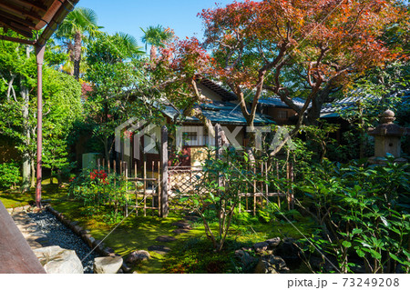 京都　大徳寺の塔頭寺院　興臨院の茶室と紅葉　　　 73249208