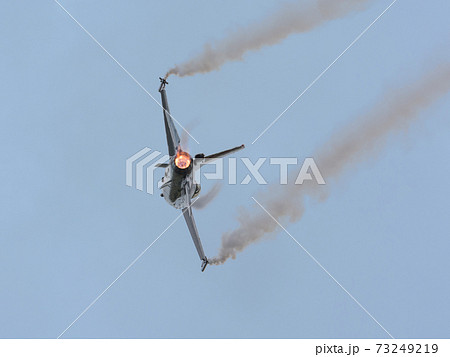 ベルギー空軍F-16AMディスプレイチーム 73249219