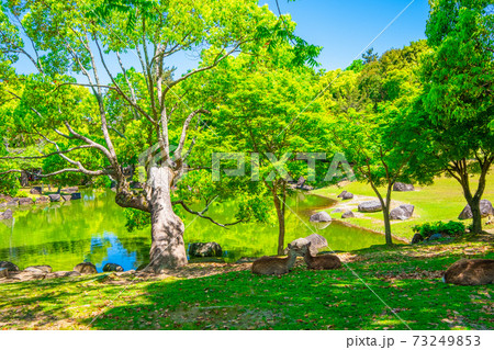 新緑の奈良公園 73249853