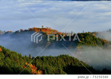 亀岡盆地の雲海 73250380