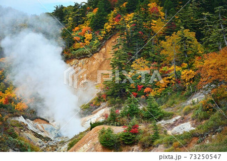 噴出する湯けむりと紅葉 73250547