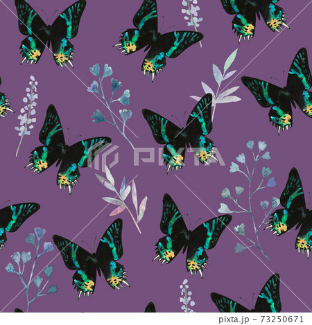 Cute seamless pattern with colorful butterflies and plant elements. Watercolor illustrations. Cute seamless pattern with colorful butterflies and plant elements. Watercolor illustrations. 73250671