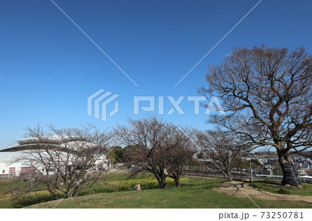 清水ヶ丘公園からの眺望(横浜市南区) 清水ヶ丘公園からの眺望(横浜市南区) 73250781
