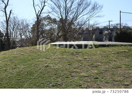 清水ヶ丘公園（横浜市南区） 73250786