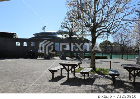 清水ヶ丘公園（横浜市南区） 73250810