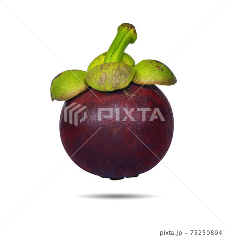 Mangosteen isolated Mangosteen isolated 73250894